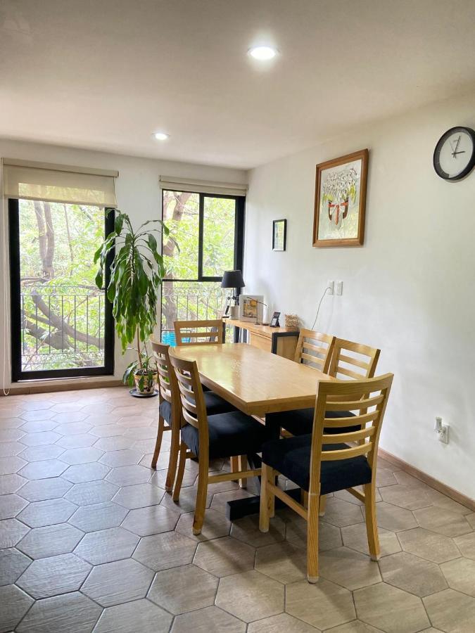 Apartment With Terrace Down Town Mexico Extérieur photo